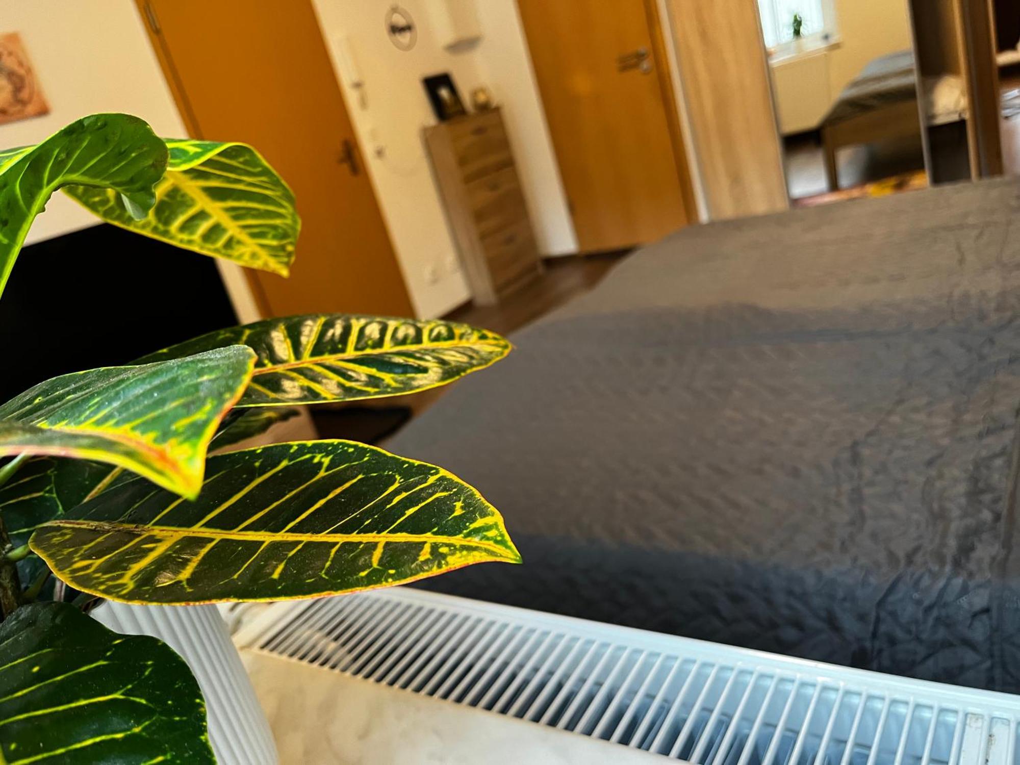 Karli'S Plaetzchen Apartment Gera Ngoại thất bức ảnh
